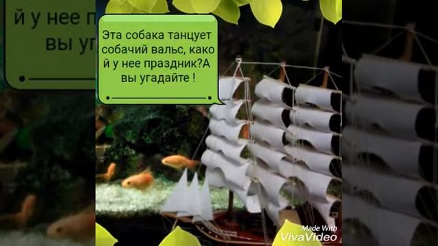 Рыба, камера, мотор