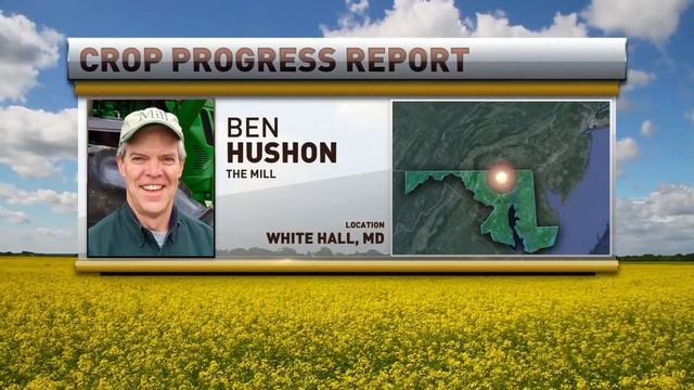 RFD TV Market Day Report 4/27/2021