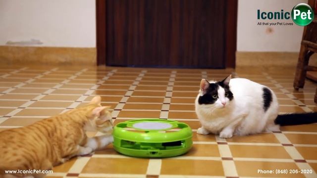 Mouse Rush Interactive Cat Toy