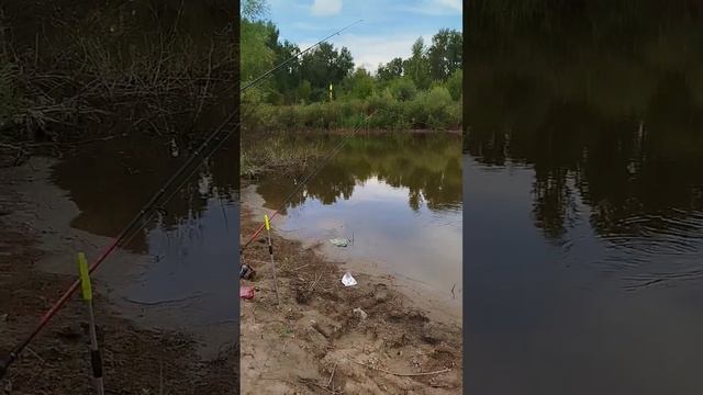 рыбалка . часть 1 . Начало .
