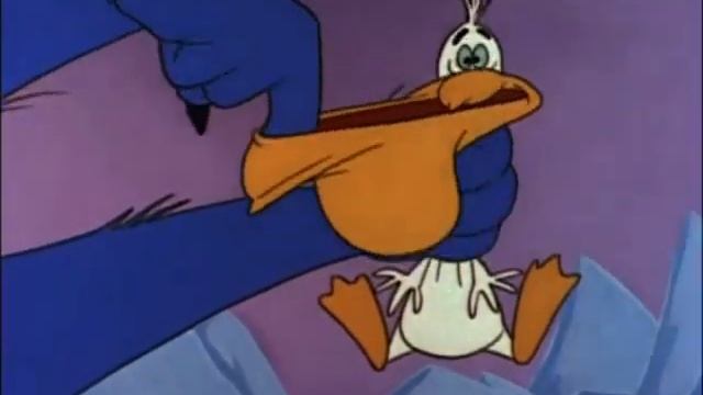 Pesky Pelican