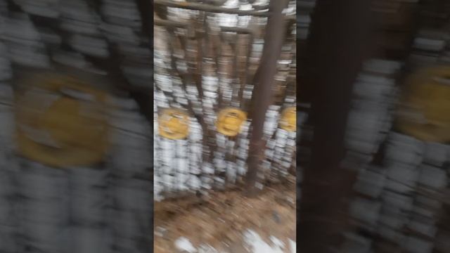 Девочка плакса из тс ,,Плакса"
