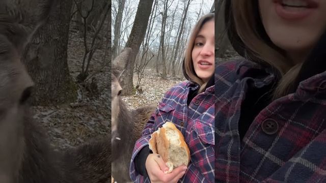 🔴 Ce viață frumoasă...  🤗❤️❤️❤️