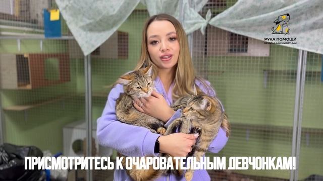 Техна и Блум в поиске лучших хозяев. Поддержать ⬇️
