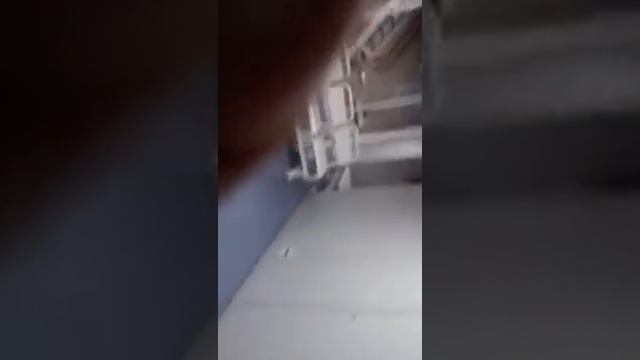 Паром Нина Малкова