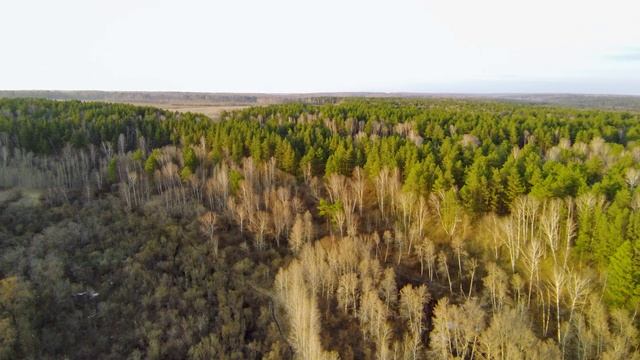 Green Desert: Закат на Ине #02