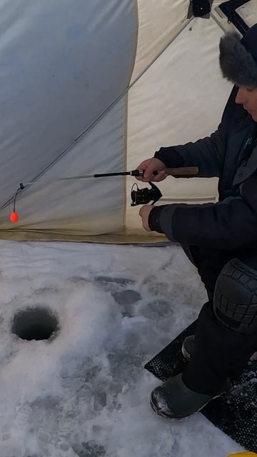 Зимняя ловля трески