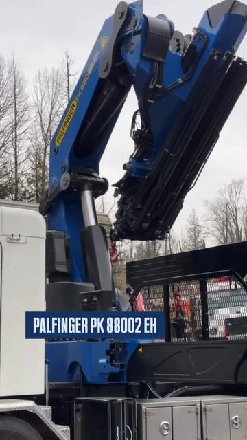 Подобрали шасси для многоосного американского кранманипулятора Palfinger PK88002EH #кмудляначинающих