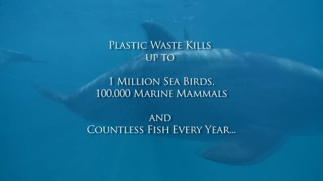 Save The Ocean