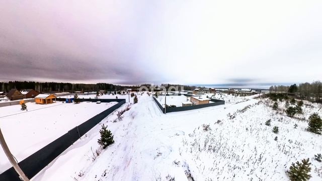 3903976
