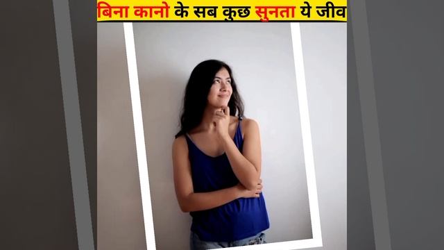 एक ऐसा जीव जिसके कान 👂 नहीं होते पर पैरों से सुनता है😱||#ant #chinti #ear #shorts #facts #viral