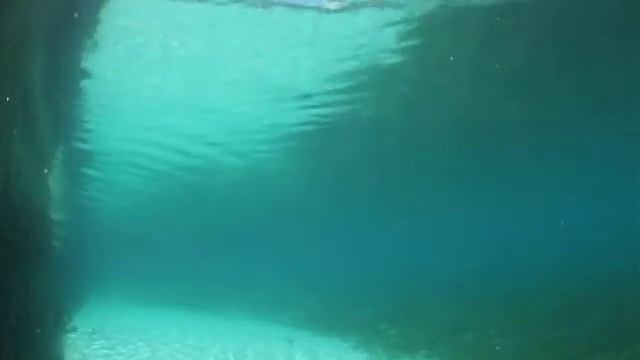 DSCF9375