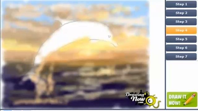 How to Draw a Dolphin Step by Step