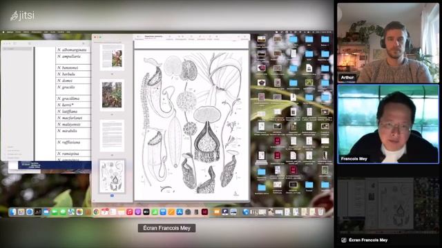 Les Nepenthes de Malaisie péninsulaire 🏝️