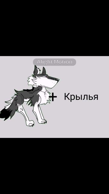 scene_output.mp4