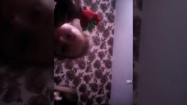 Лепем из пластелина полейдодо