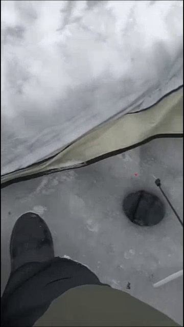 😍 🎣 👍