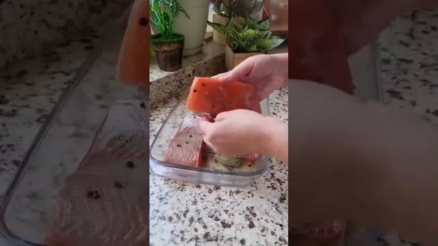 КРАСНАЯ МАЛОСОЛЬНАЯ РЫБКА 🐟🐟🐟🐟🐟🐟🐟