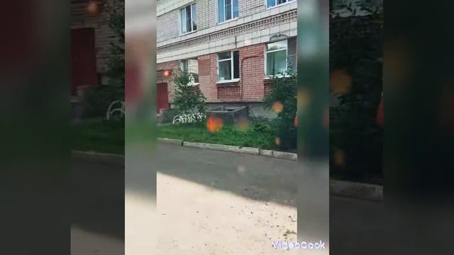 выпеска милены г кострома