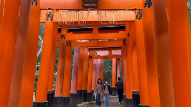 GEZİ / “KYOTO-2” On Bin Kapılı Tapınak / Geisha Mahallesi / Sokak Yemekleri