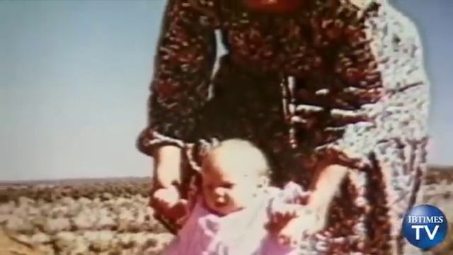 Did a Dingo Really Take The Baby?