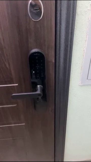 AQARA N100