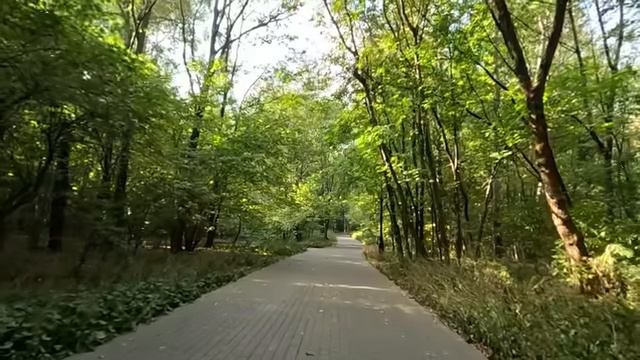Открыв дверь беспризорнику, богач не дал ему ни копейки на лечение мамы… А едва жена коснулась руки…