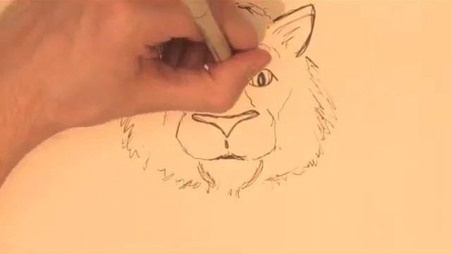 How to Draw a Tiger