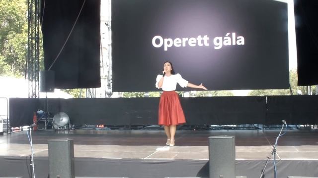 Operett Gála-4 #upskirt#оперетта#шоу#танец