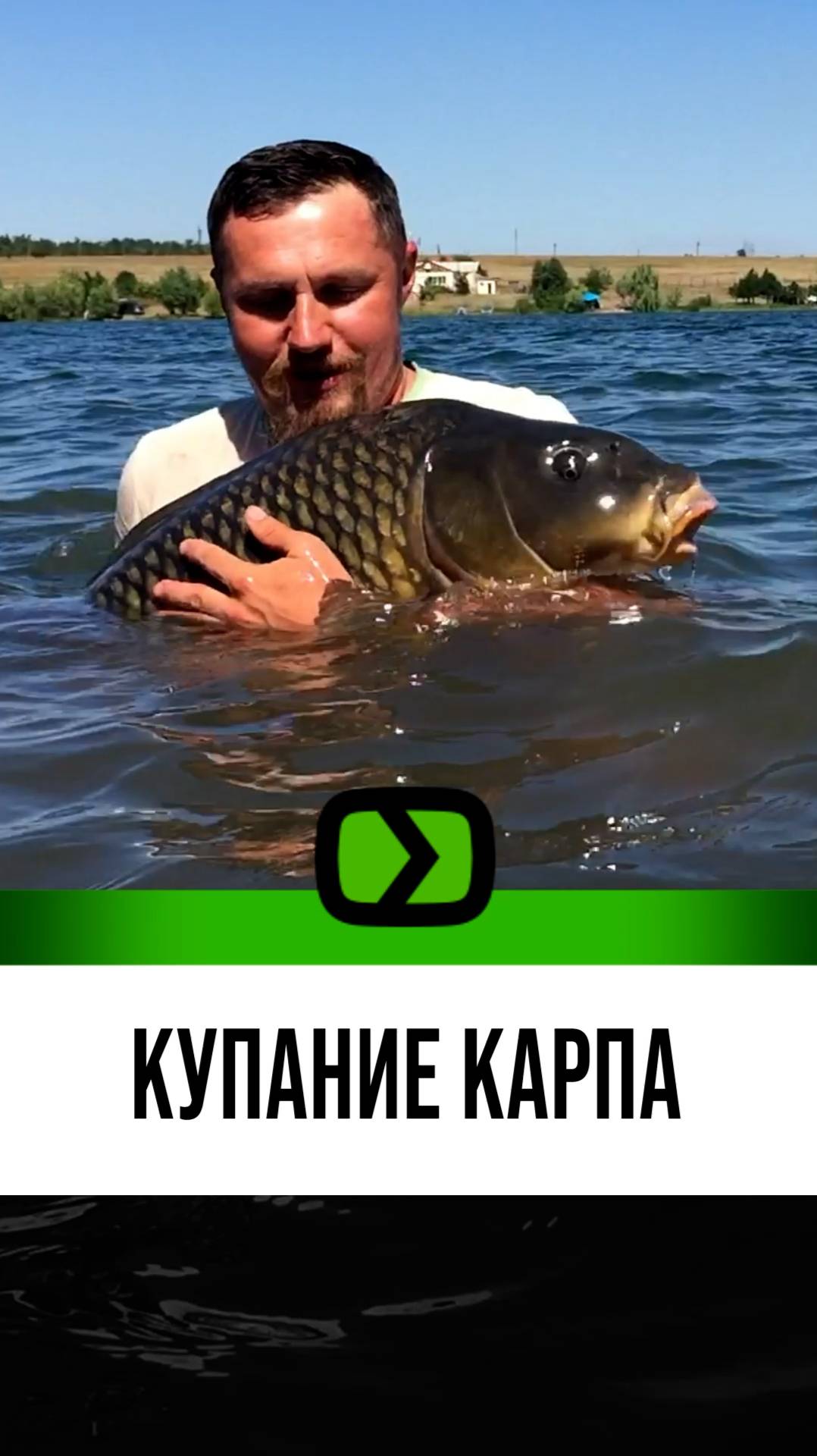 Отпускаем крупного карпа!