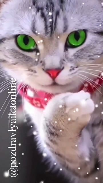 С февралем