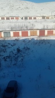 Хонор в этом году