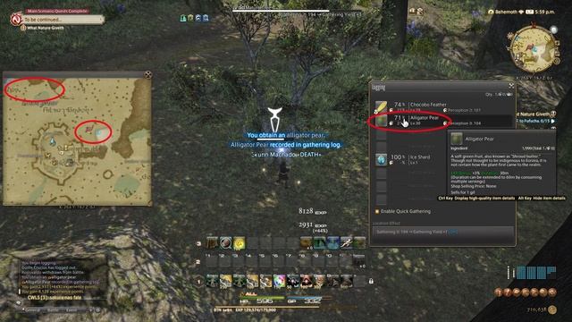 Alligator Pear FFXIV
