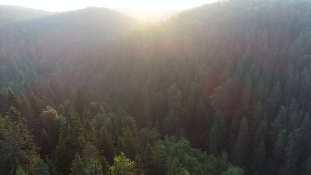 Classical Music For Relaxtaion - Beautiful Morning Wake Up Music For Positive Energy