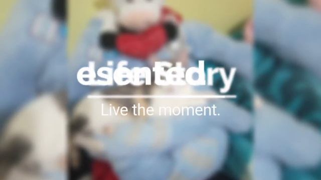 😻lun a presenta r su canal😹😹👍🔔🔔