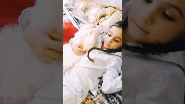 Белый кот