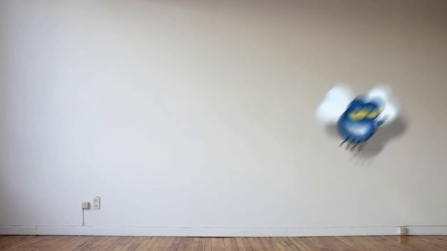 CAT GAMES - CATCHING A FLY (ENTERTAINMENT VIDEOS FOR CATS TO WATCH)