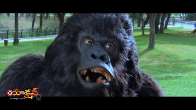 ACTION 3D GORILLA PROMO10sec
