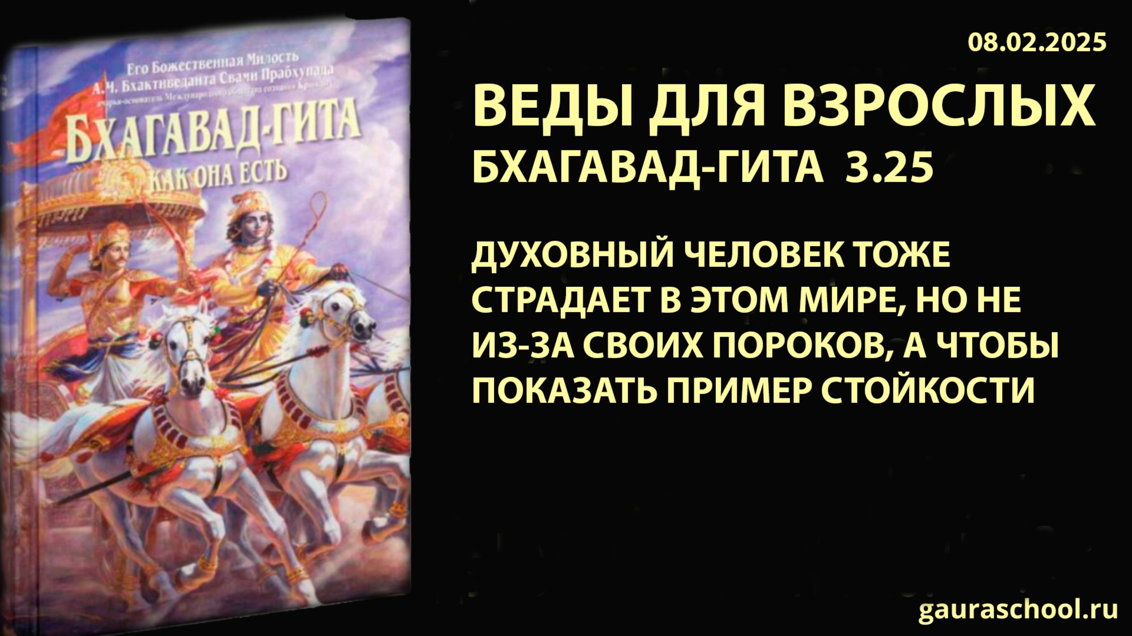 Веды для взрослых. Бхагавад-гита 3.25