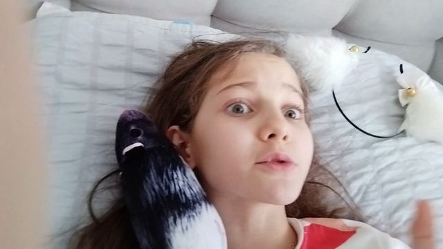 VID_20250208_160659.mp4