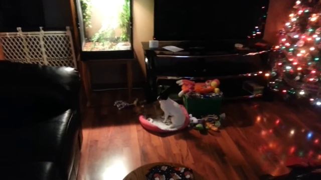 Merry Christmas!! - My Xmas Gifts 2014 + Setting Up PS4!!
