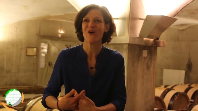 Viticulture : le Bio, la Lutte raisonnée et la Biodyanmie