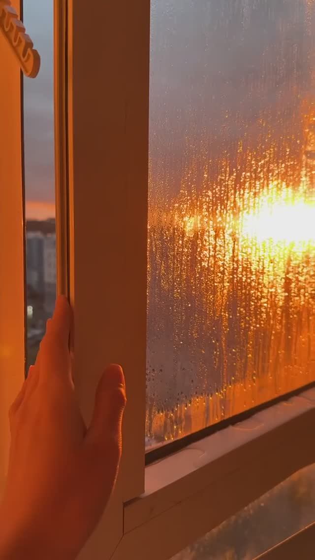 Южный бульвар,10