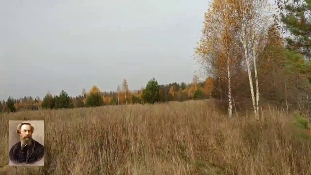 Когда природа вся трепещет и сияет... стихи. Толстой Ал. К.