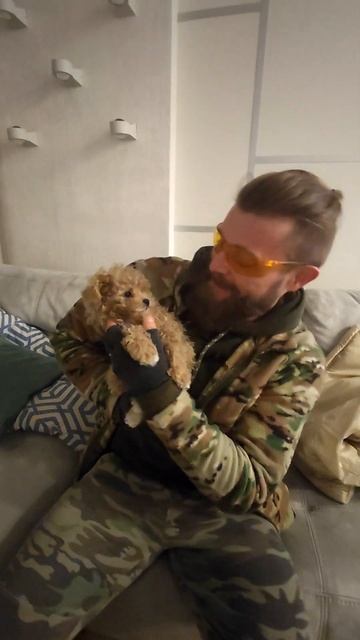 Любовь собаки Love dogs #love #dog #peace #america