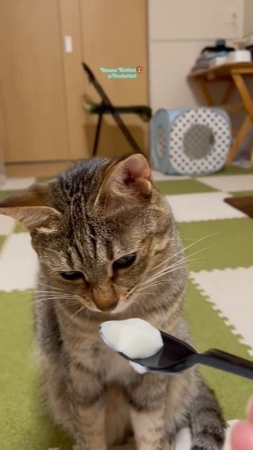 Я такое не ем