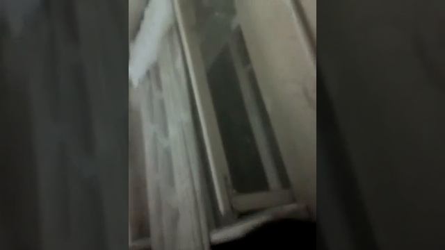 Мой вк Лиля Радичева фота скин вк