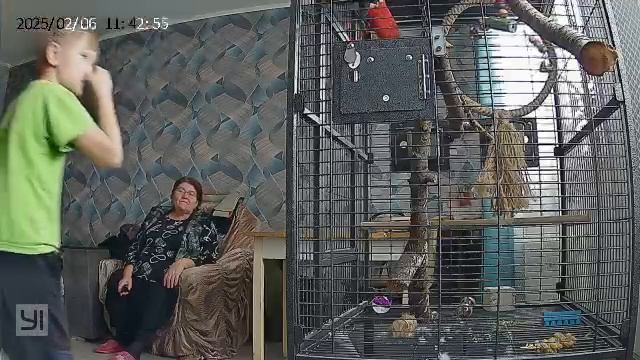 Знакомства моей мамай с попугаем жако. 2025 год