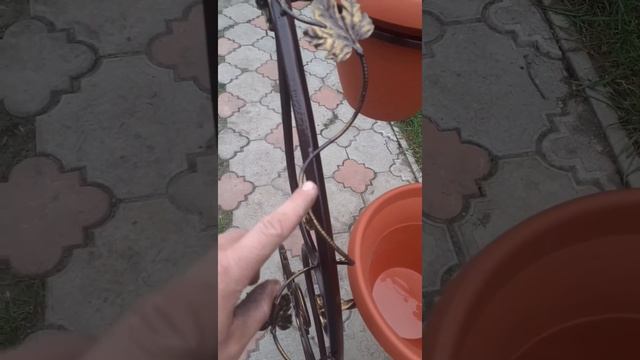 цветочница.