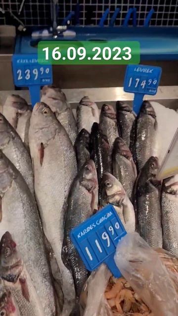 рыба в Турции. Цены на морские продукты в Турции 19.06.2023